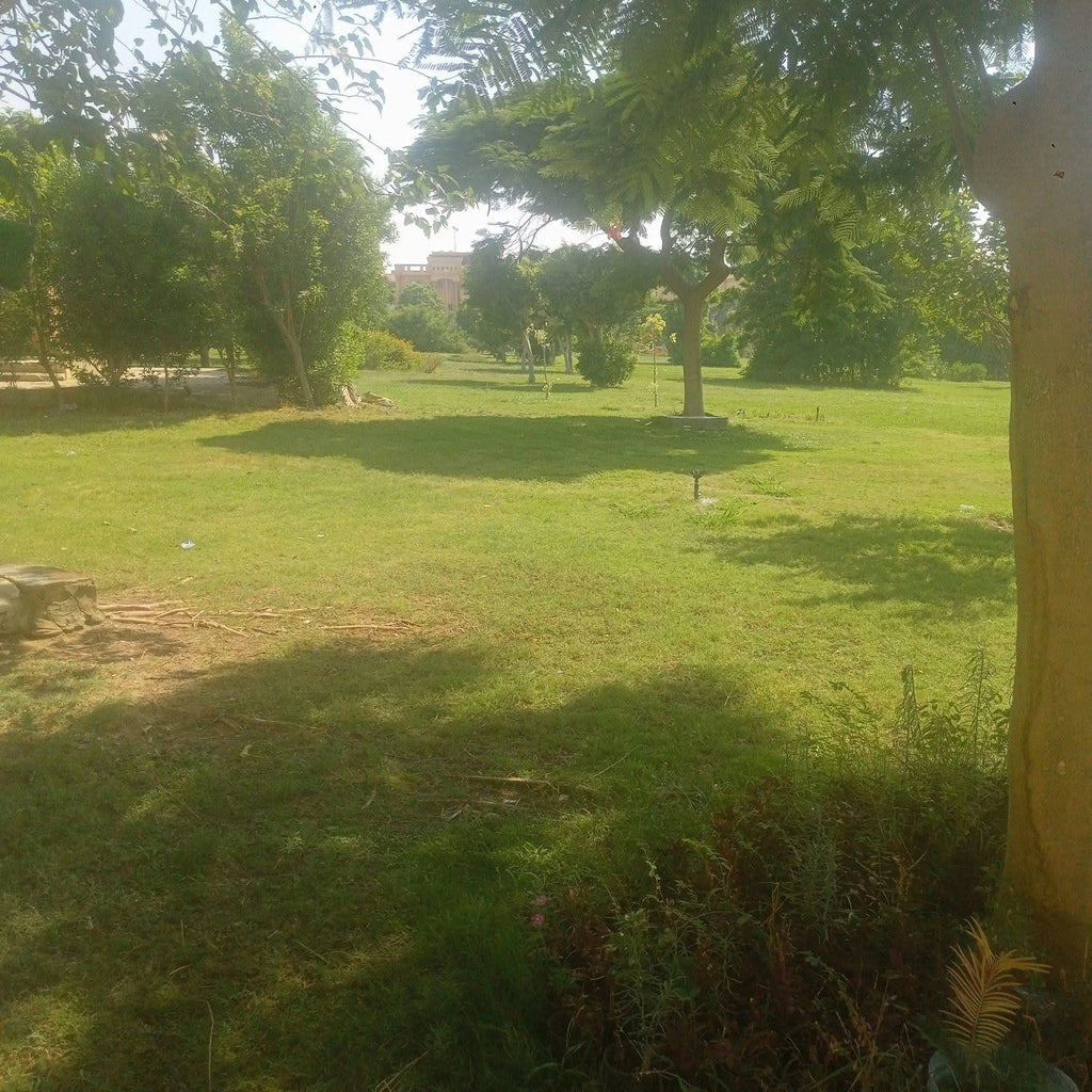 38VD55